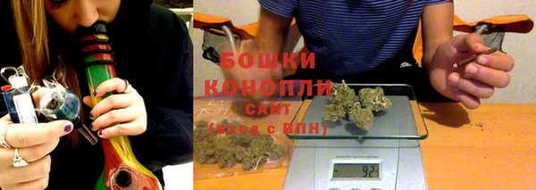 СК Дмитров