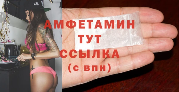 СК Дмитровск