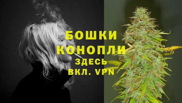 дживик Сатка