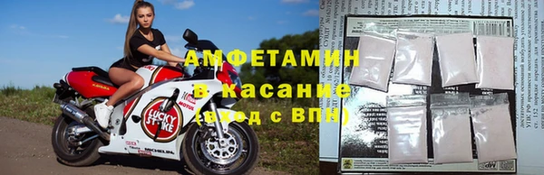 стафф Сафоново