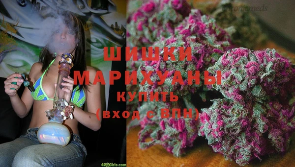 дживик Сатка
