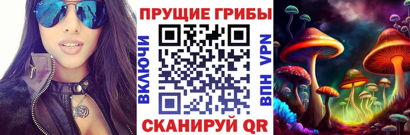 где можно купить   Заволжье  Псилоцибиновые грибы прущие грибы 