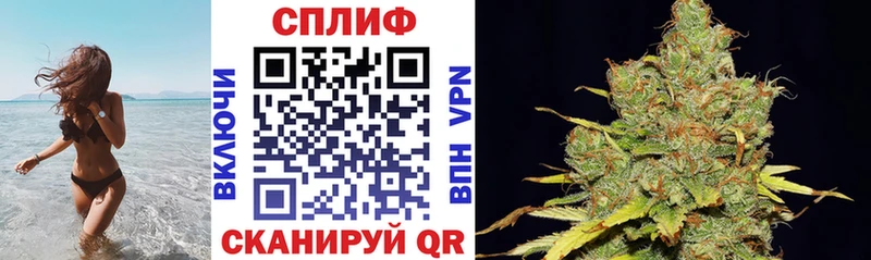 купить наркотик  OMG маркетплейс  Каннабис SATIVA & INDICA  Заволжье 
